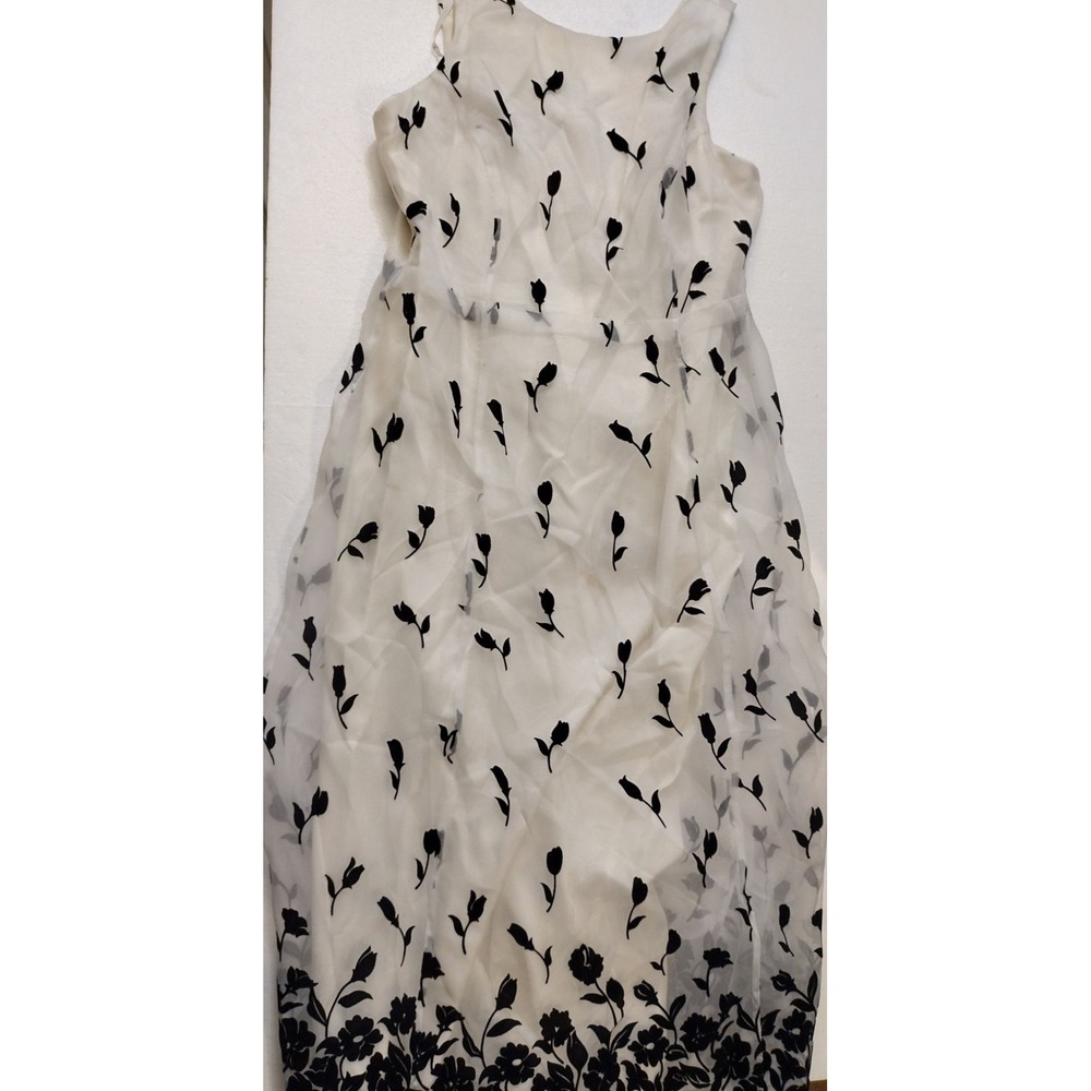 Ever Beauty Dress Womens 16 Fit and Flare Sleeveless Floral Ivory Black
